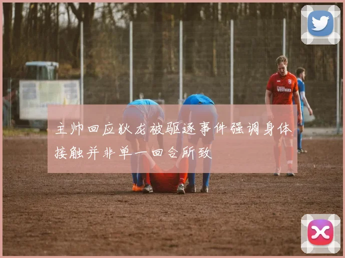 主帅回应狄龙被驱逐事件强调身体接触并非单一回合所致