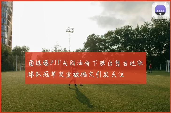 葡媒曝PIF或因油价下跌出售吉达联球队冠军奖金被拖欠引发关注