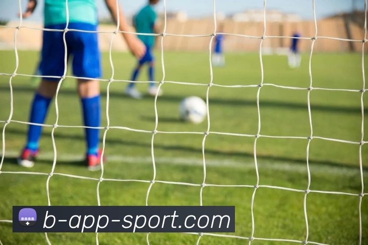 B体育平台生态图