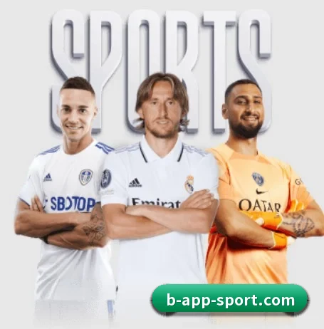 B体育 APP